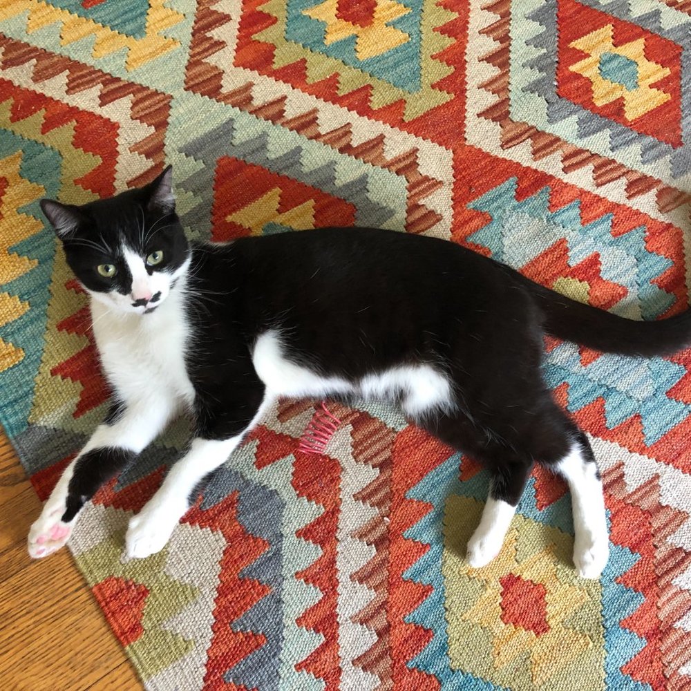 Meet your Posher, Claire